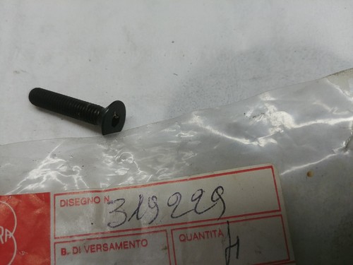 Vite semimanubrio nuovo gilera - nuovo,